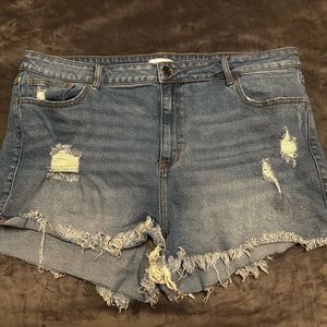 Ms. Cello distressed denim shorts